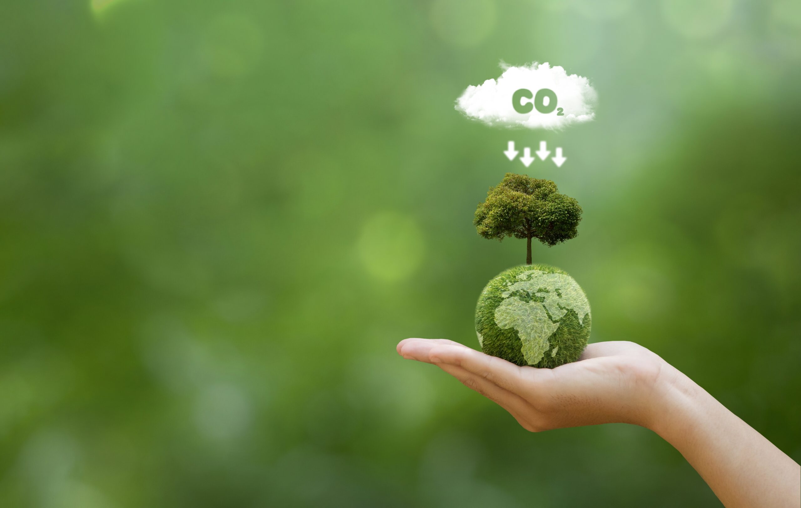 Producción de bioinsumos reduce emisiones de CO₂ entre un 69% y un 91%