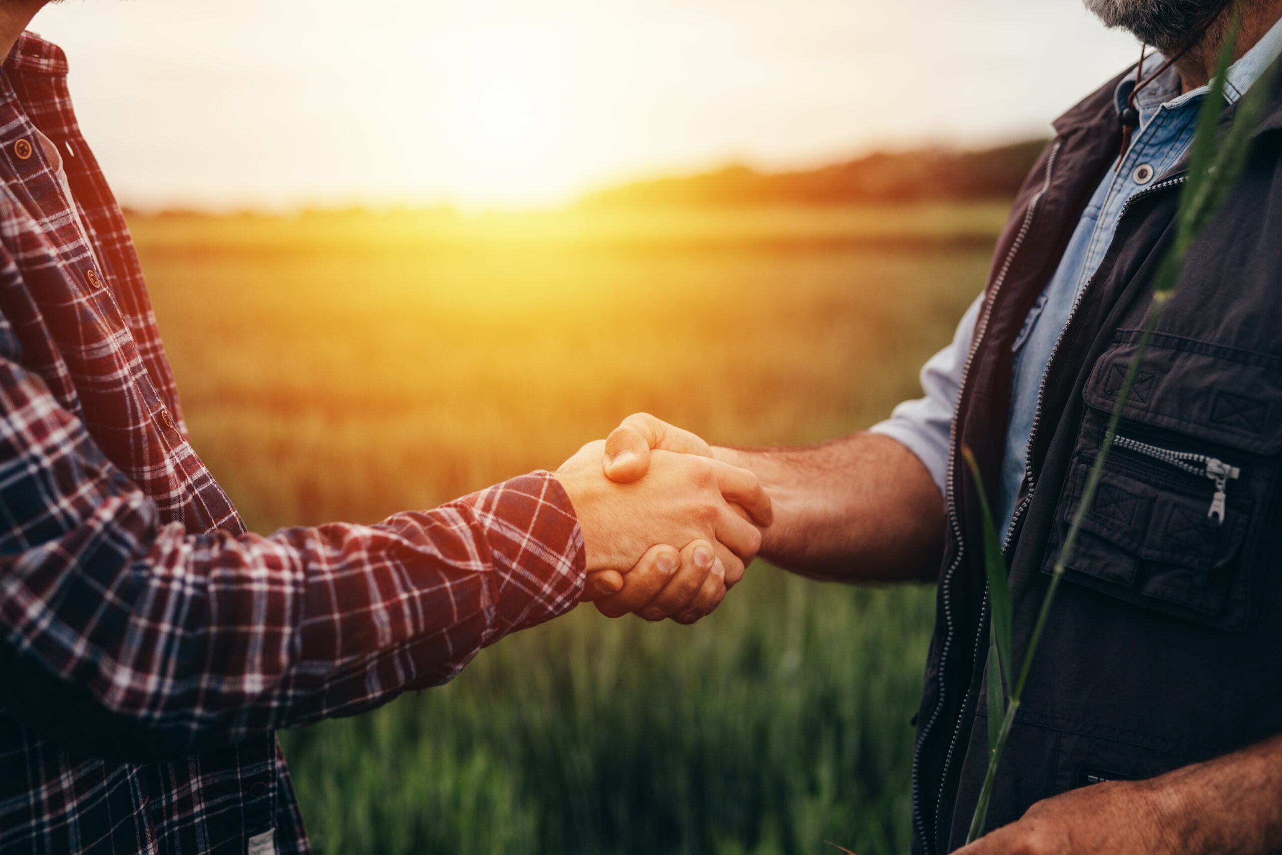 Indigo y GROWMARK anunciaron asociación basada en la sostenibilidad