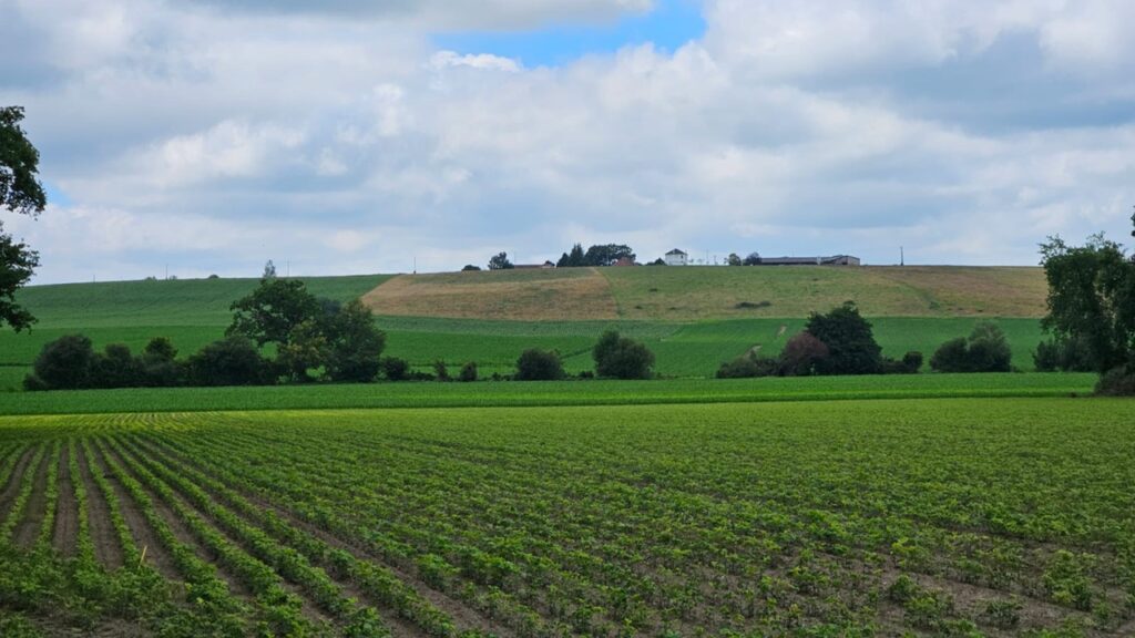Proyecto muestrea suelos agrícolas para entender la relación entre el microbioma y el cultivo de soja
