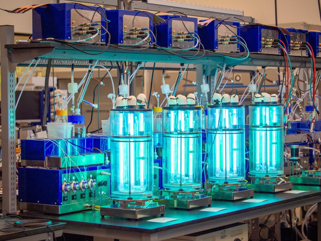 Startup recauda US$8,8 millones para abaratar el desarrollo de bioproductos