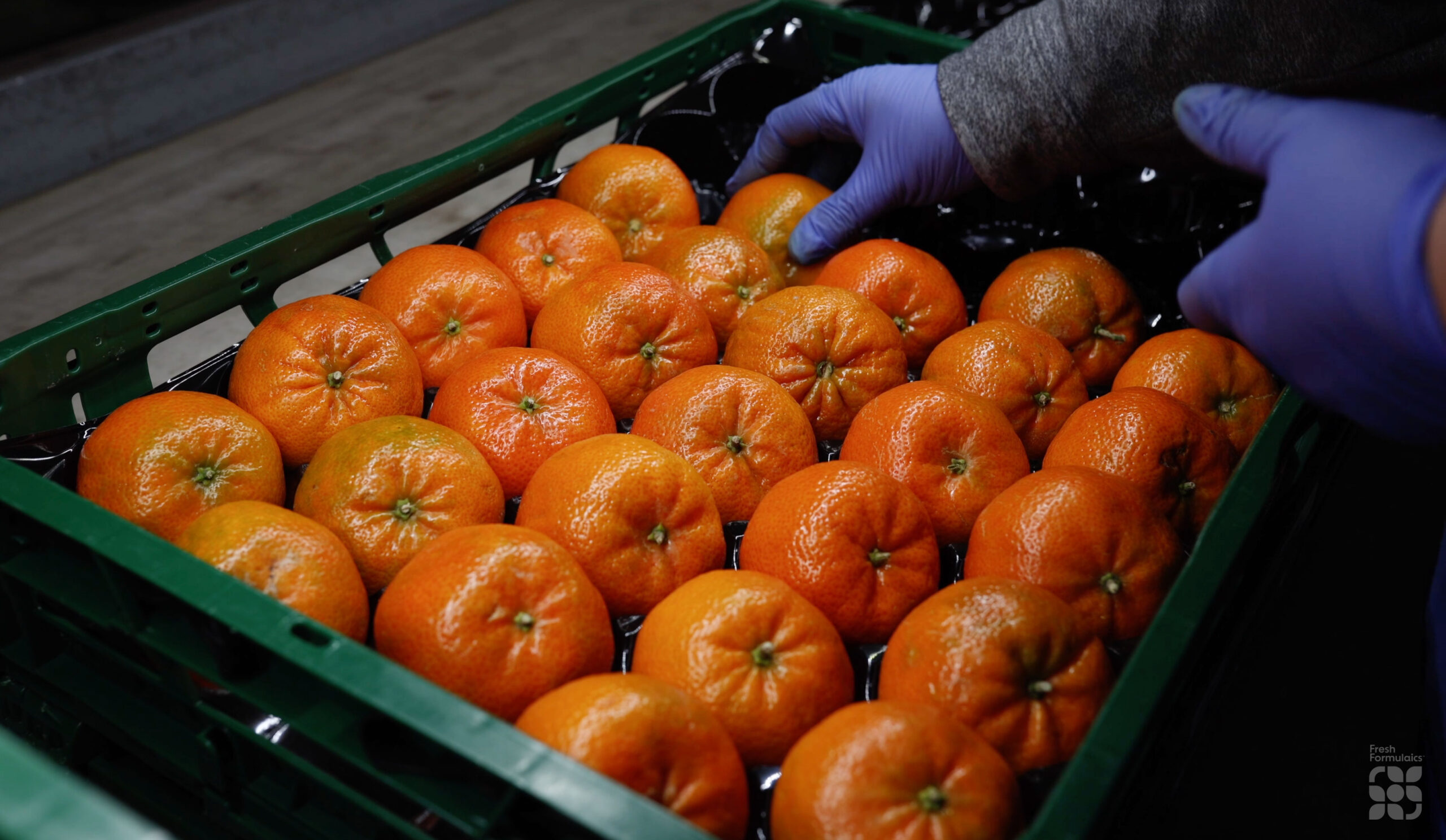 Flair S1™, la apuesta vegetal de Fresh Formulaics para la poscosecha